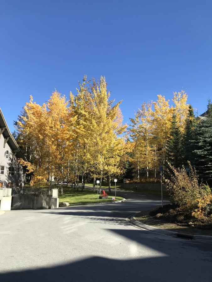 The Best Top Floor Ski-In/Ski-Out At The Aspens Whistler Eksteriør billede